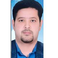 مهدی امامی فر